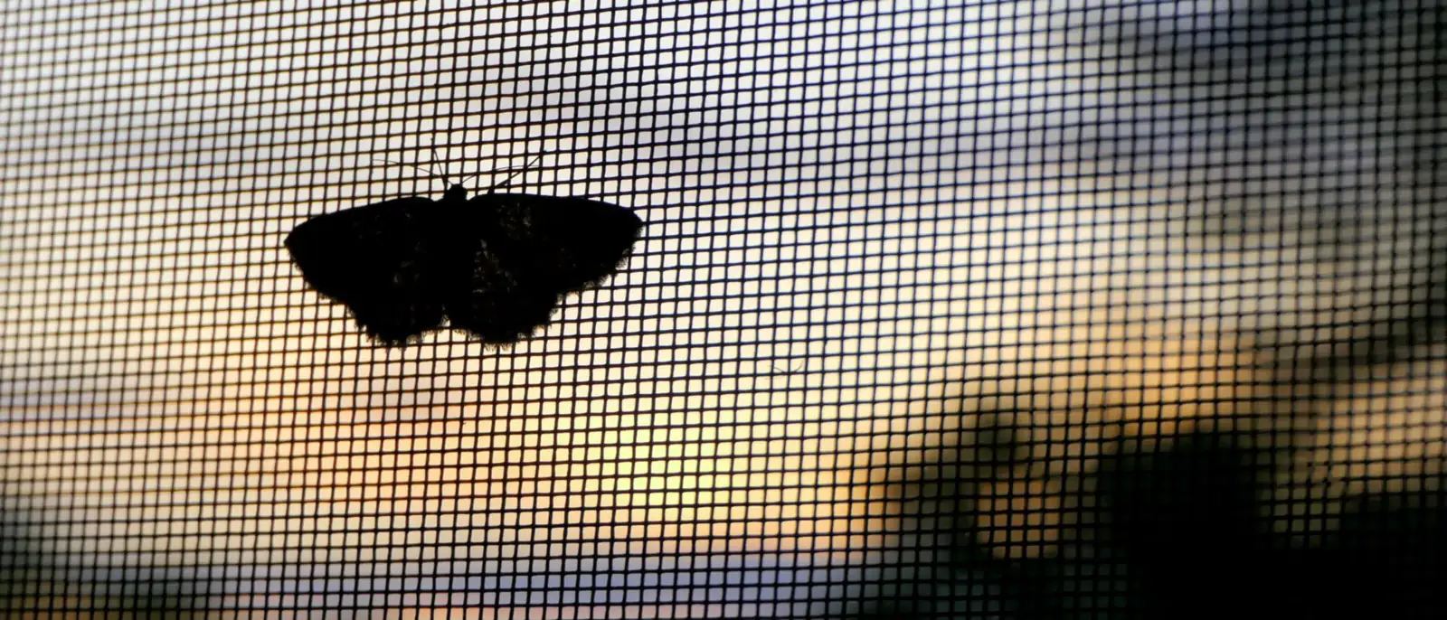 Colocación de mosquiteras y tendederos en Pamplona